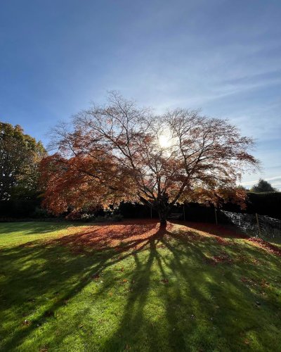 Photo post from grow_naturally_norfolk.