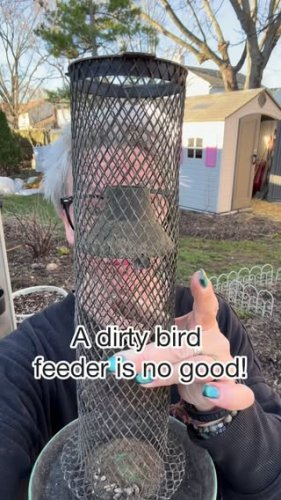 Video post from backyardcolumbus.