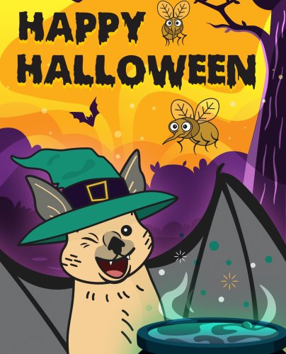 Carousel post from batbnb.