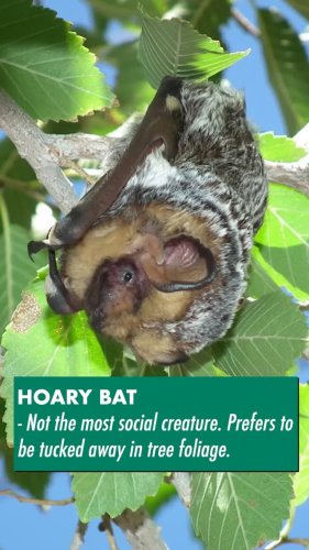 Video post from texasparkswildlife.