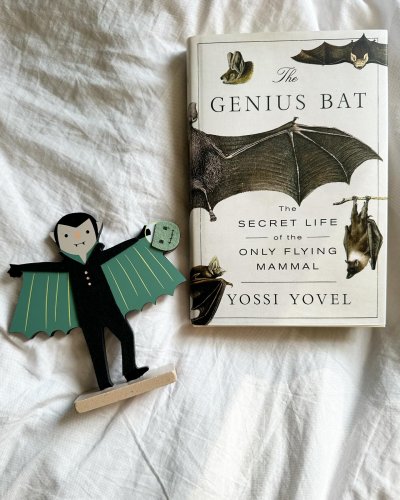 Photo post from a_girl_has_no_book.