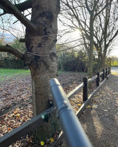 Photo post from grow_naturally_norfolk.