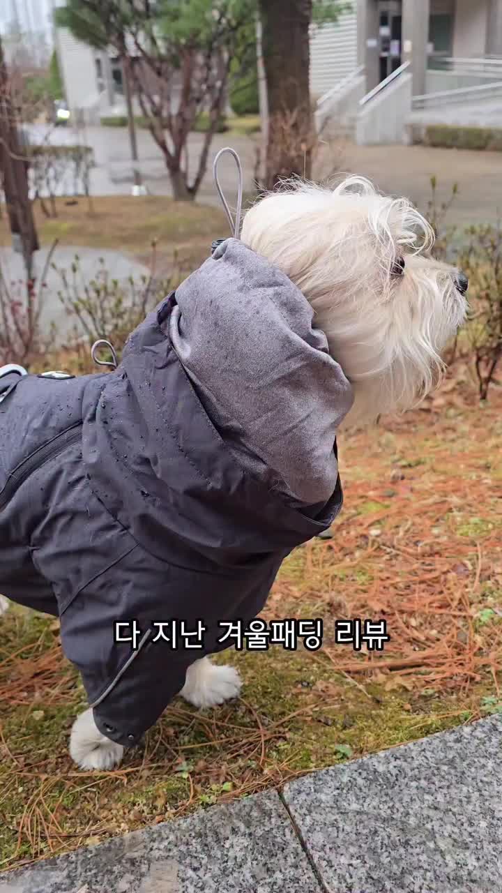 Video post from thor.st0ry.