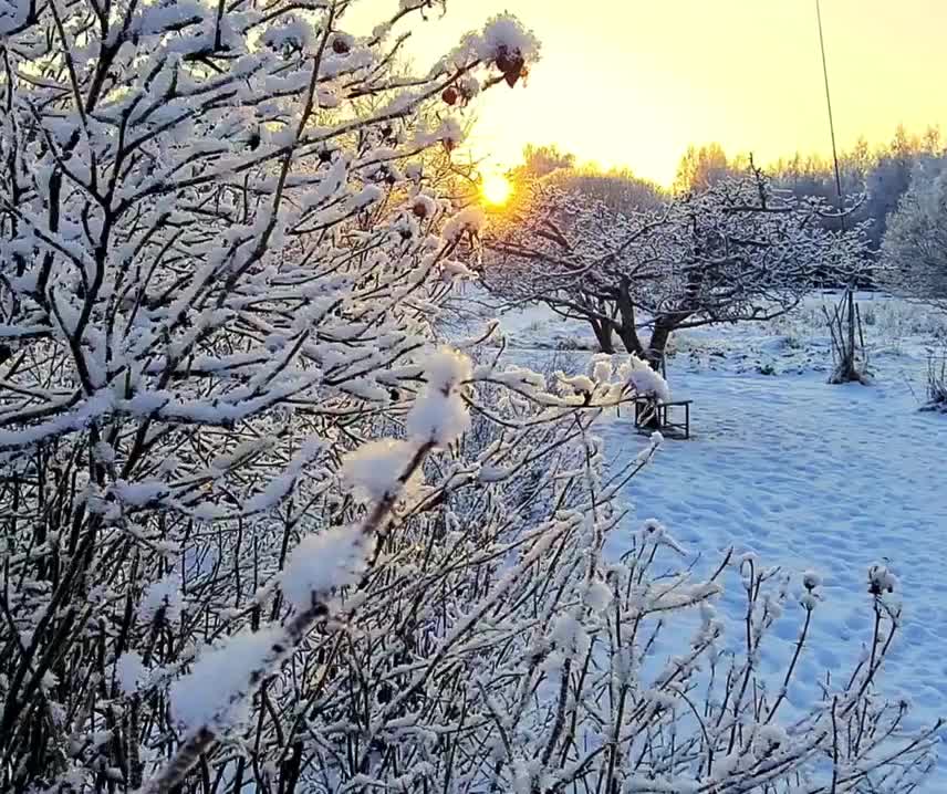 Video post from creatinghabitats.