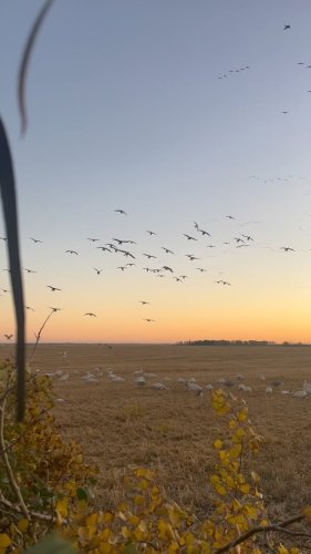 Video post from northernskiesoutfitters.