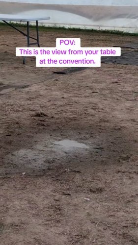 Video post from perdita00.