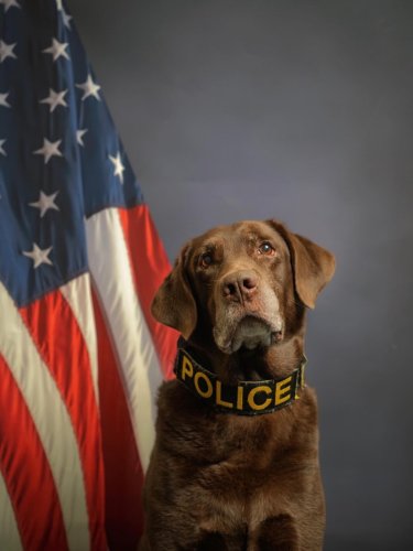 Photo post from daytonabeachpolice.