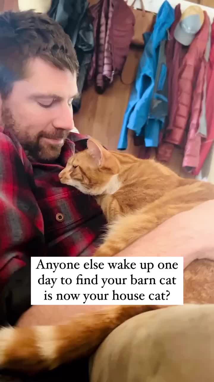 Video post from hungryhollowfarm.