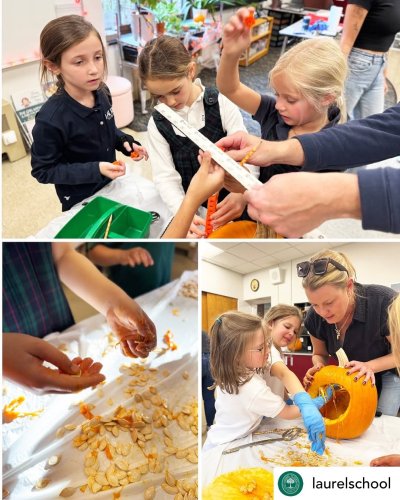 Carousel post from laurelprimary.