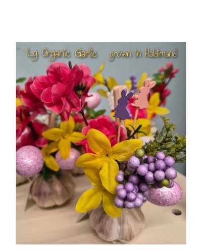 Photo post from niftygiftynorfolk.