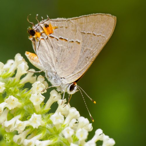 Photo post from texas_pixels.