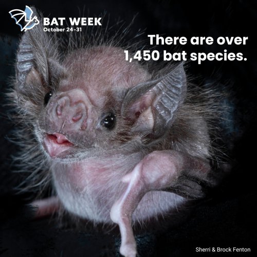 Photo post from vernon_museum.