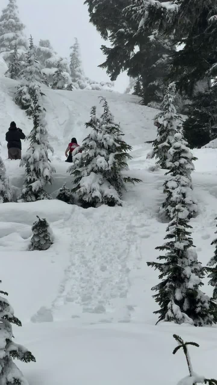 Video post from gnusnowboards.