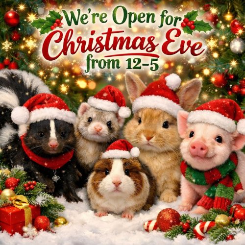 Photo post from njexoticpets.