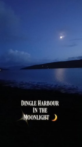 Video post from dinglepeninsulatourism.