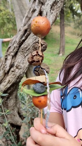 Video post from tobycomtr.