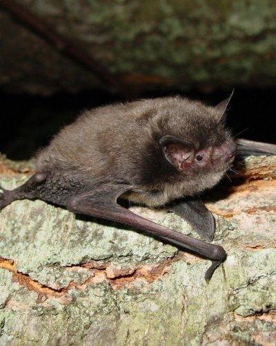 Photo post from lcnaturepark.