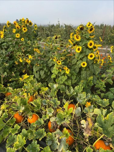Carousel post from finnriver.