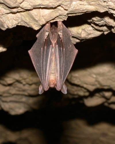 Carousel post from mvrpfoundation.ca.