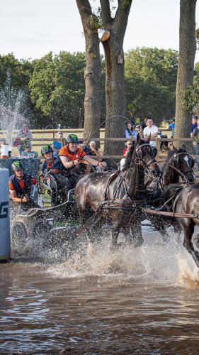 Video post from fei_global.