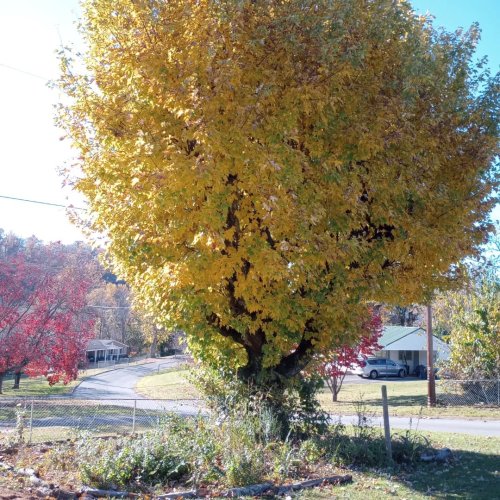 Carousel post from thebeeandbee042608.