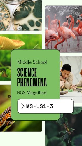 Video post from ngsmagnified.