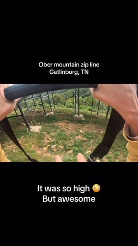 Video post from beez_y216.
