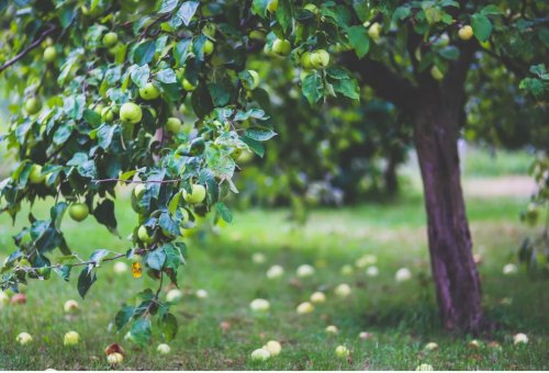 Photo post from kamzajtra.