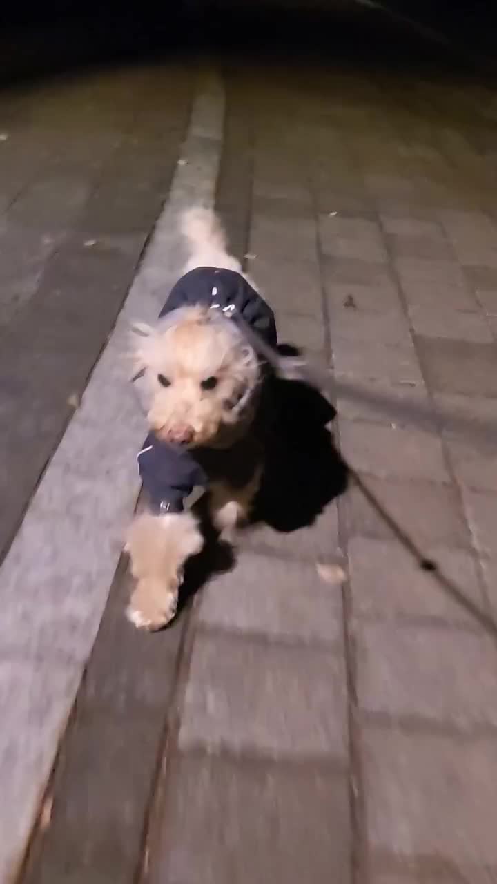 Video post from bon_bon_718.