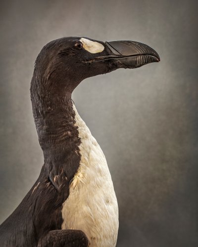 Carousel post from rpswomeninphotography.