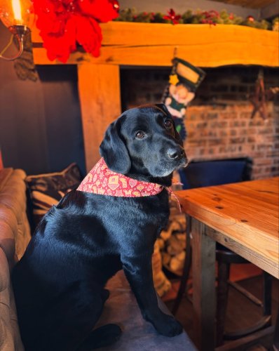 Photo post from toast_flyford.