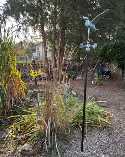 Photo post from mireade2025.