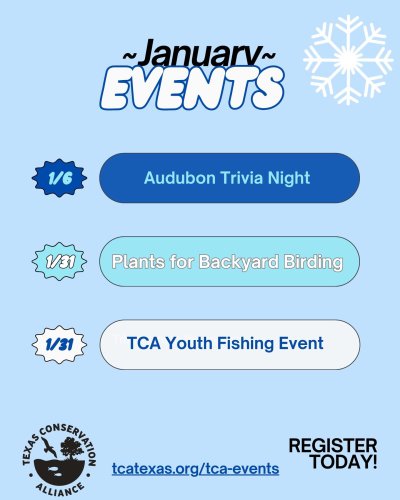 Carousel post from tcatexas.