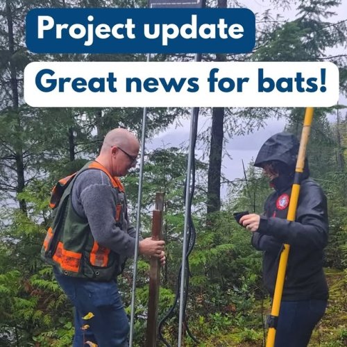 Video post from fishandwildlifecompprogram.