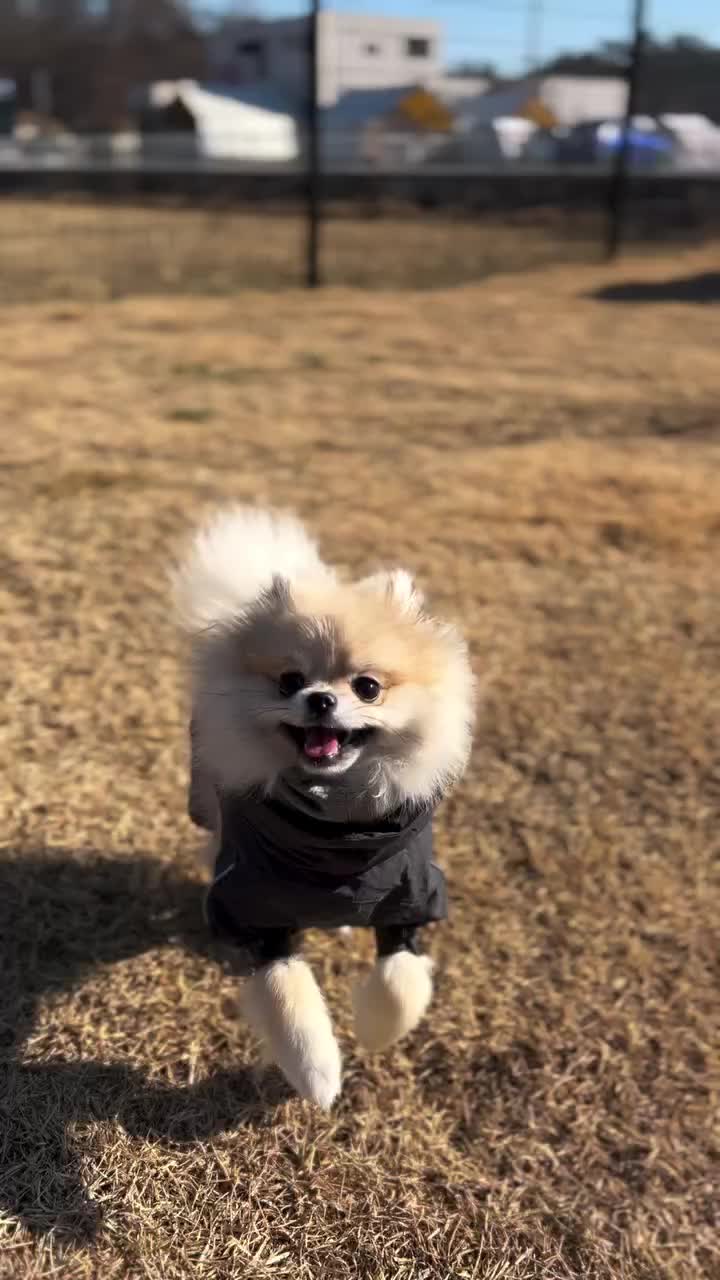 Video post from hurttakorea.