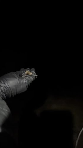 Video post from nwbathub.