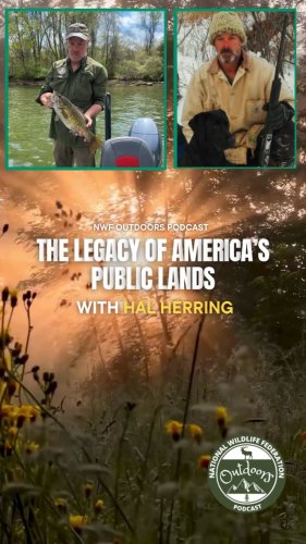 Video post from nwfoutdoors.