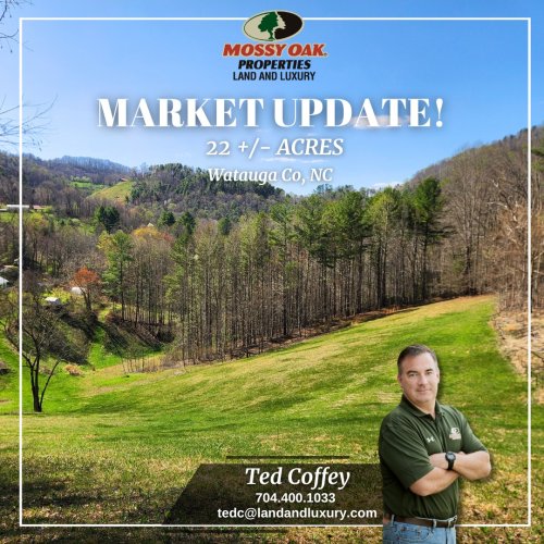 Carousel post from mossy_oak_properties.