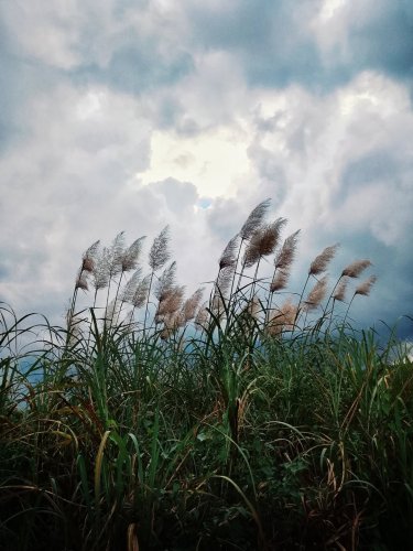 Carousel post from jakbobby.