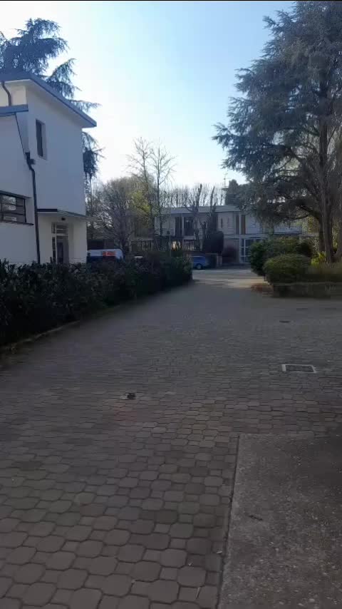 Video post from mst.experience.