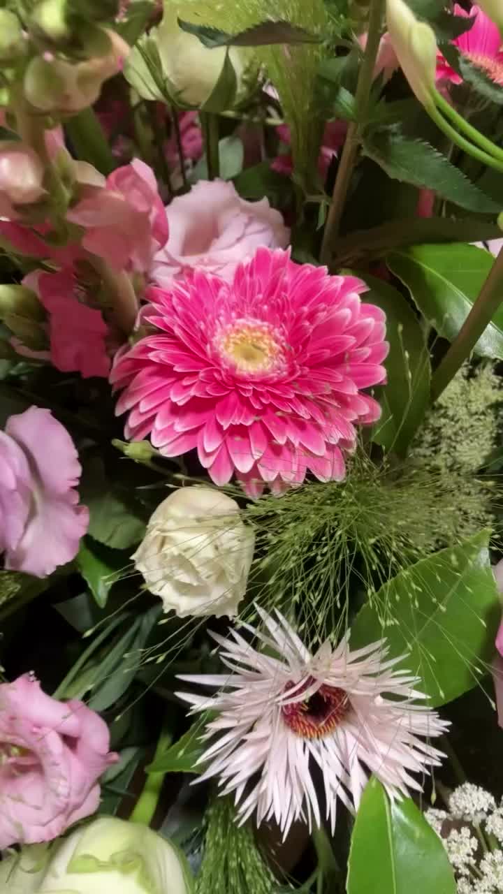 Latest photo