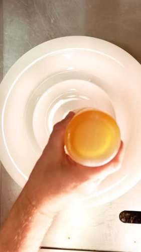 Video post from themoathouse.