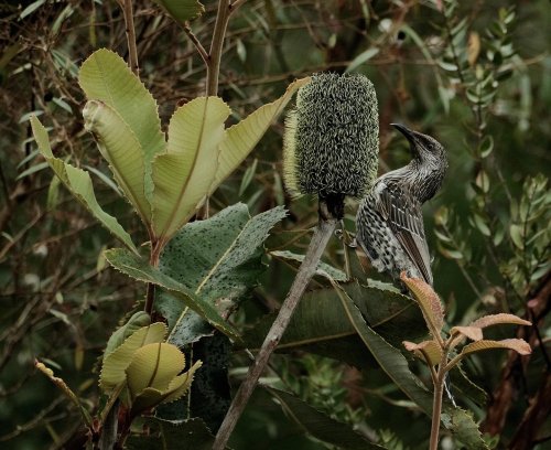 Carousel post from barunglandcare.