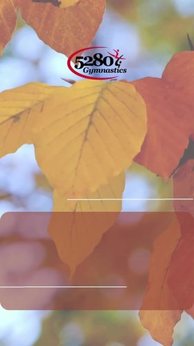 Video post from 5280.gymnastics.