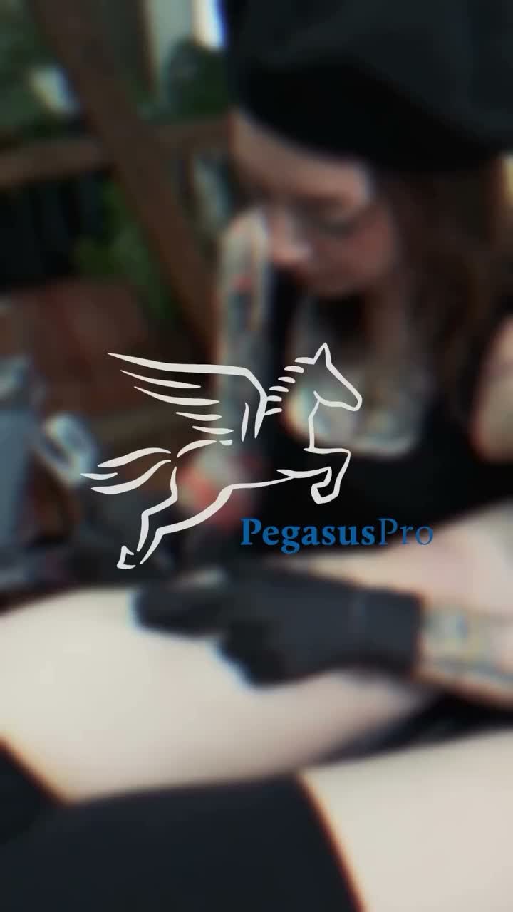 Video post from pegasus.pro.