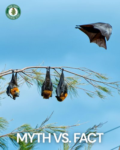 Photo post from boonecoconservationdistrict.