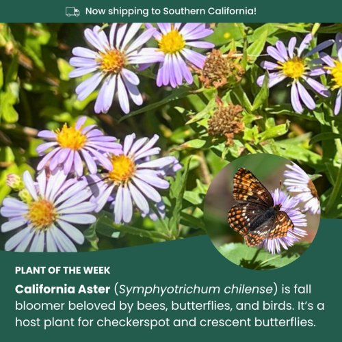 Carousel post from gardenforwildlife.