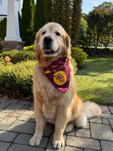 Photo post from bostoncollege.