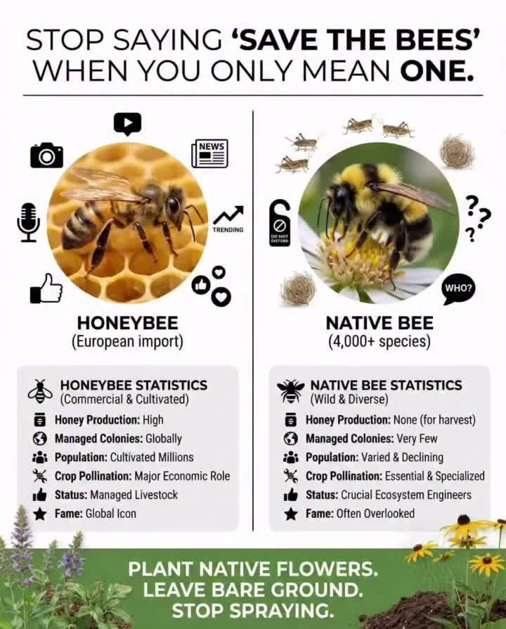 Video post from noblearya_ai.