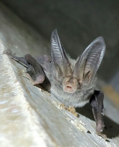 Photo post from mssciencemuseum.